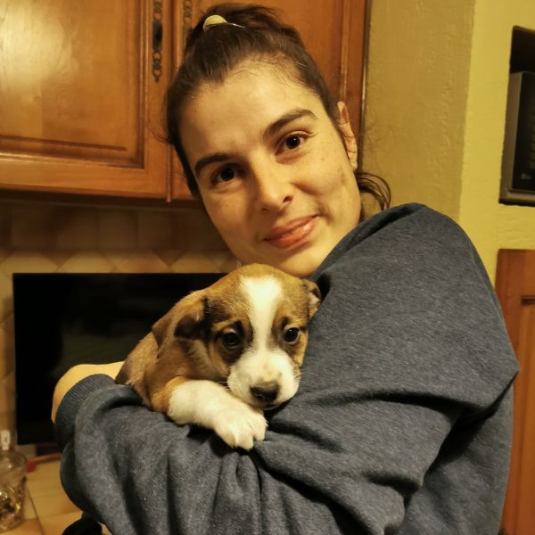 poppy-cindymeuhcreation