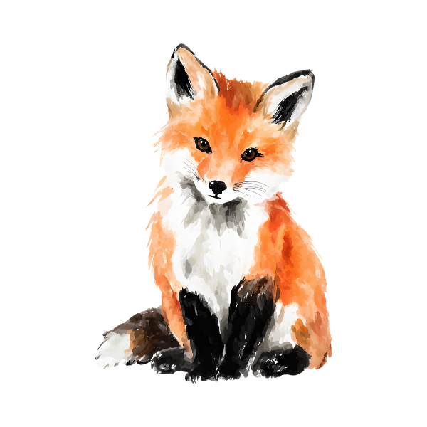 petit-renard