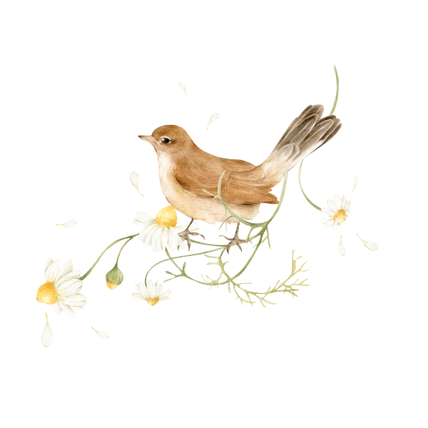 oiseau-branche