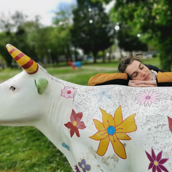vache-apaisante